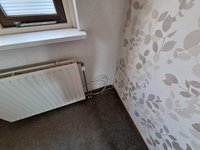 Foto 41